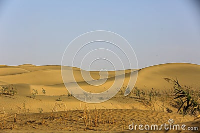 Taklimakan Desert Stock Photo