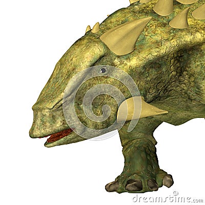 Talarurus Ankylosaur Head Stock Photo