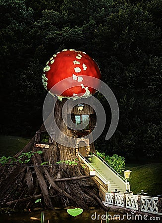 Tale of the mysterious forest life Stock Photo