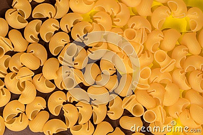 talian pasta pepe rigate, snails, scattering Stock Photo