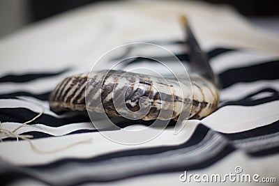 Talit & Shofar Stock Photo