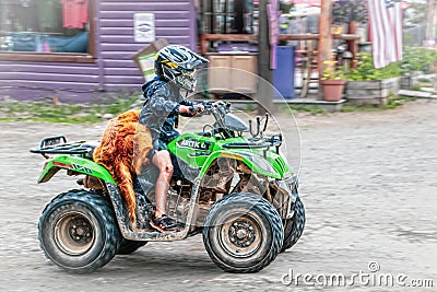 Talkeetna Alaska USA - Child in helmet drdivng green four wheeler with dog draped across back of seat in the funky Editorial Stock Photo