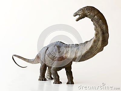 A Tall Apatosaurus Dinosaur, or Deceptive Lizard Stock Photo