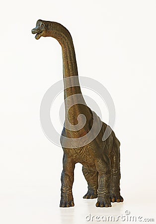 A Tall Brachiosaurus Dinosaur, or Arm Lizard Stock Photo