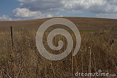 Tall brown grass behind thin barbed wire fence with hill in the background Stock Photo