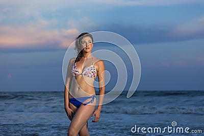 Tall Brunette Female Model At The Beach Stock Photo