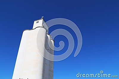 Tall community co-op cooperative agricultural farm feed grain and corn silo building in a small town in rural heartland america Stock Photo