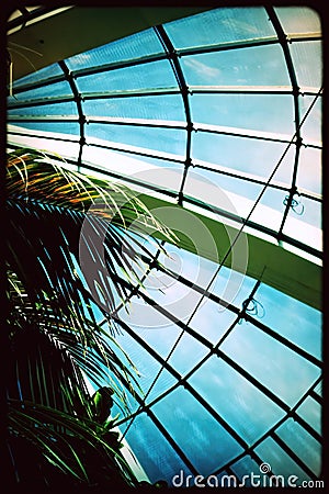 A tall glass atrium dome that shelters tropical plants. Stock Photo