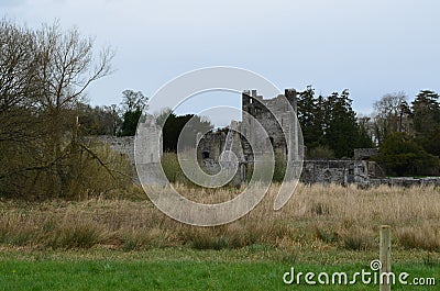 Tall Grass Growing in Field With Desmond Castle Ruins Stock Photo