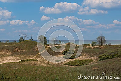 Tall grasses growing on hills of sand dunes, with some trees, in front of Lake Michigan at Kohler Dunes State Park Stock Photo