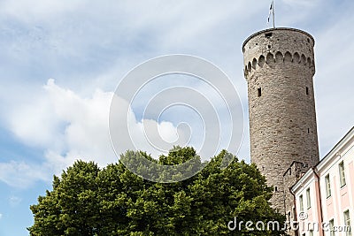 Tall Hermann Tower in Tallinn Stock Photo