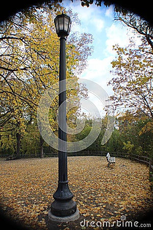 Quiet Autumn Day at a Minnesota Park Stock Photo