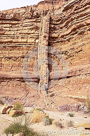 Tall Magmatic Dike in a Limestone Cliff the Makhtesh Ramon Crater in Israel Editorial Stock Photo