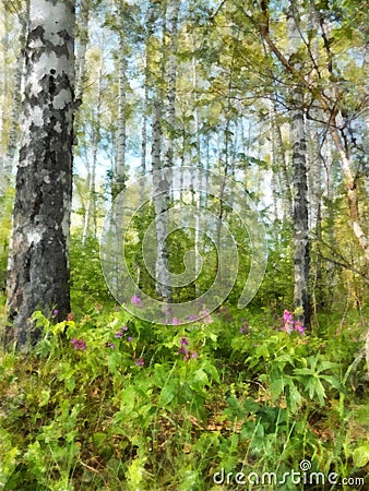 Tall slender white birch forest. Russian spring landscape water Cartoon Illustration