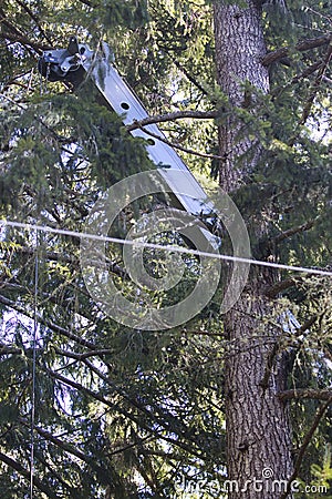 tall steel crane reaching through pine forest Stock Photo