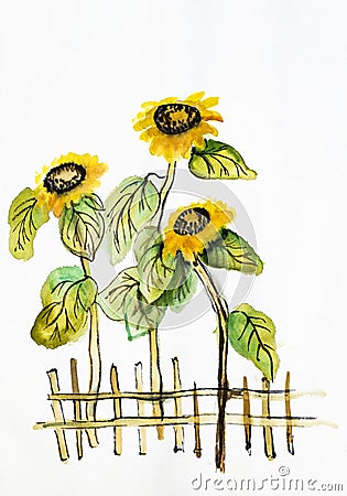 Tall sunflowers near the rustic fence Stock Photo