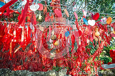 Tall trees is completely decorated with red ribbons. many red ribbons tied to trees. Asia Stock Photo