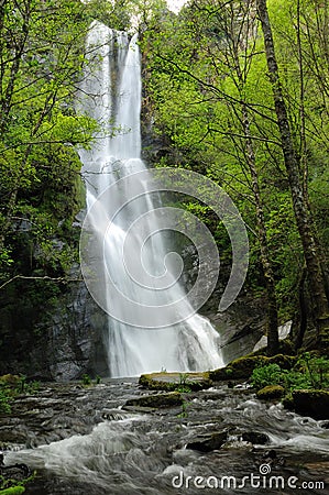 Tall waterfall in forest Stock Photo