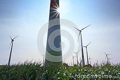 Tall wind turbines on a cornfield in backlight against a blue sky with a sun star, renewable energy concept in northern Germany, Stock Photo