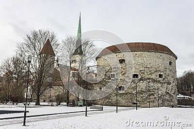 Fat Margaret, Tallinn, Estonia Editorial Stock Photo