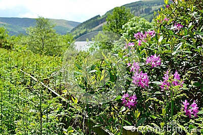 talybont-on-Usk valley and reservoir Stock Photo