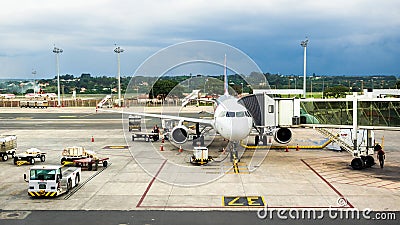 TAM Airlines Airbus 320 Parked at Airport in Brasilia, Brazil Editorial Stock Photo