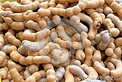 Tamarind - tropical tasty healthy fruits in Thailand Stock Photo