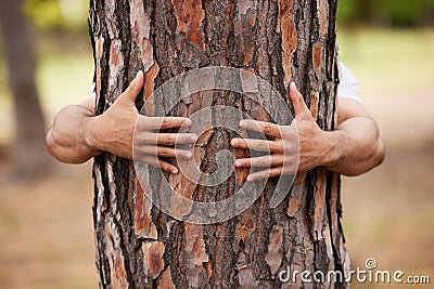 Tame the flames, rule the world. Closeup shot of a person hugging a tree in the woods. Stock Photo