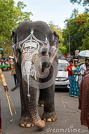 Tamil Temple Elephant Walking in Street Editorial Stock Photo