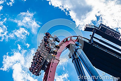People enjoying terrific Sheikra rollercoaster at Busch Gardens 1 Editorial Stock Photo