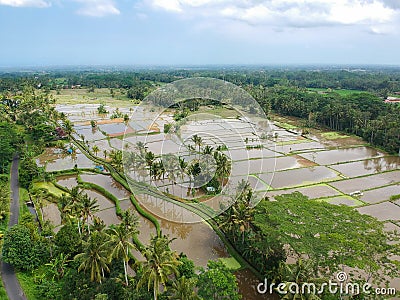 Tampaksiring, Gianyar Regency, Bali, Indonesia from air, drone shot Stock Photo