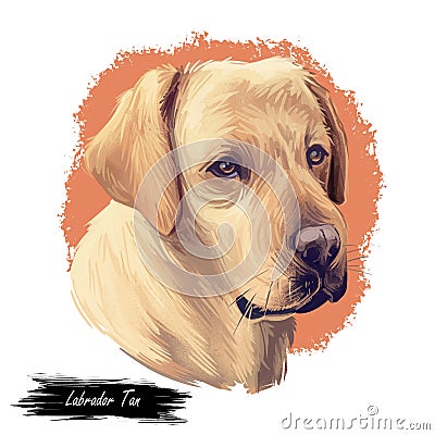 Tan labrador retriever portrait of purebred digital art illustration. Canadian mammal gun dog, hunting breed. Doggy closeup Cartoon Illustration