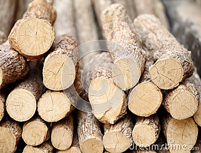 Tanaka wood Stock Photo