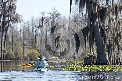 Tandem kayakers paddling through Spanish Moss and Cypress in the Okefenokee Swamp