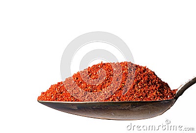 Tanduri Masala on spoon. Stock Photo