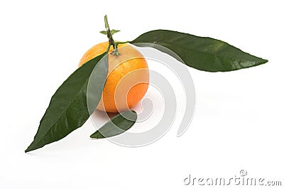 Tangerine Stock Photo