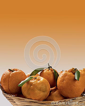 Tangerine basket on white-orange gradient background Stock Photo