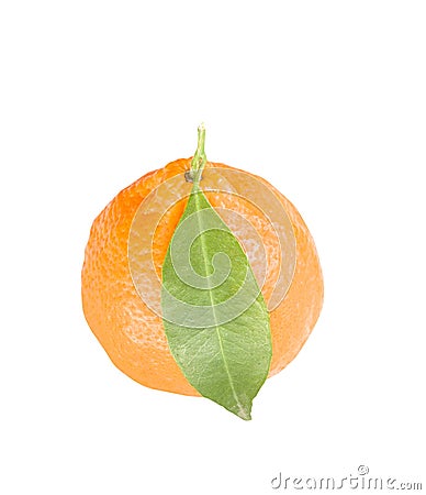 Tangerine citrus Stock Photo