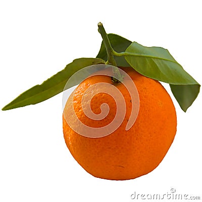 Tangerine or clementine with green leaf isolated on white backg Stock Photo