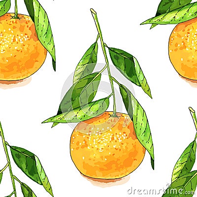 Tangerine fruit seamless pattern Vector Illustration