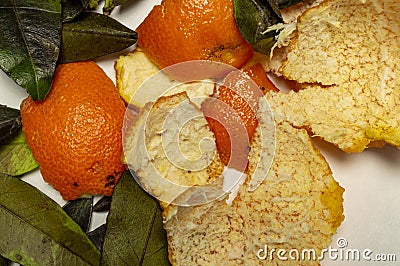 Tangerine peel with green leaves on white background Stock Photo