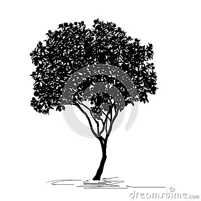 Tangerine tree Citrus reticulata L. silhouette, Chinese New Year Vector Illustration