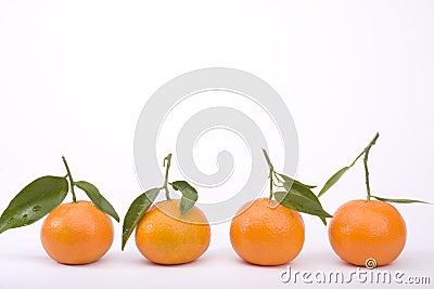 Tangerines isolated on white Stock Photo