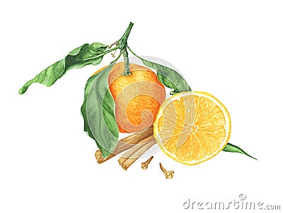 Tangerines with leaves with spices, branches of tree and decoration, watercolor painting. Stock Photo
