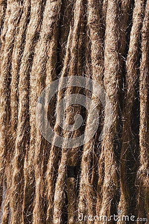 Tangle of dreadlocks. Closeup of a rasta hair Stock Photo