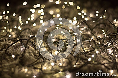 Tangled fairy lights Stock Photo