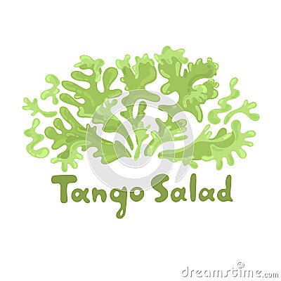 Tango salad. Leafy greens vegetables. Botanical flat cute icon. Hand-drawn popular types of salad. Great for cooking Vector Illustration