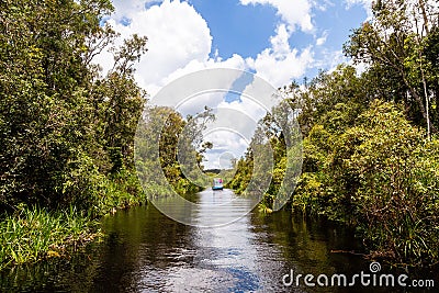 Tanjung Puting National Park, Borneo, Indonesia: the water of the river near Camp Leakey are of deep black color Stock Photo