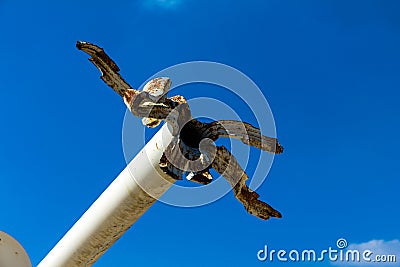 Tank with the broken barrel of the cannon. Antiwar symbol Editorial Stock Photo