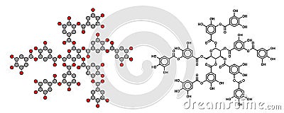 Tannic acid molecule (one isomer shown). Type of tannin Vector Illustration